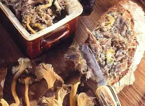 Рийе конфи из утки с лисичками