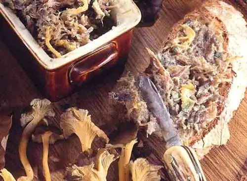 Рийе конфи из утки с лисичками