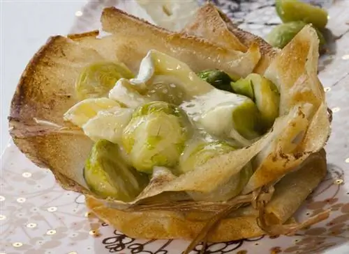 Капеллан брюссельской капусты