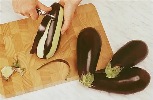 Баклажаны, фаршированные анчоусами, луком и помидорами