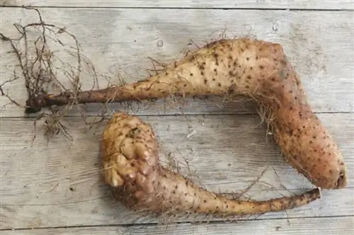 2 клубня батата