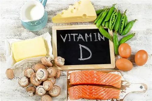 Продукты, содержащие витамин D Продукты, содержащие витамин D
