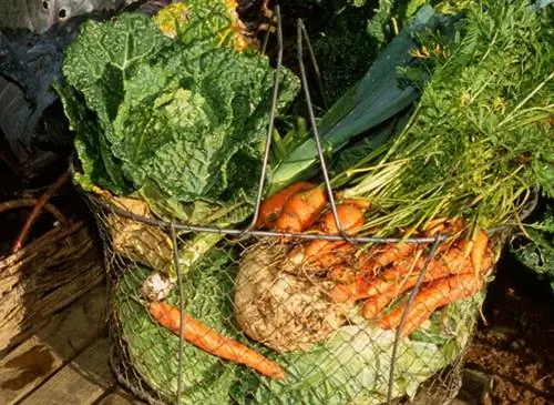 корзина с овощами корзина с овощами