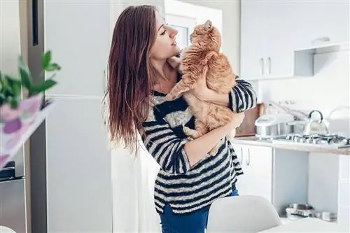 Может ли кот узнать свое имя?