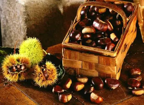 Оригинальный осенний десерт с морковью и свежими каштанами.