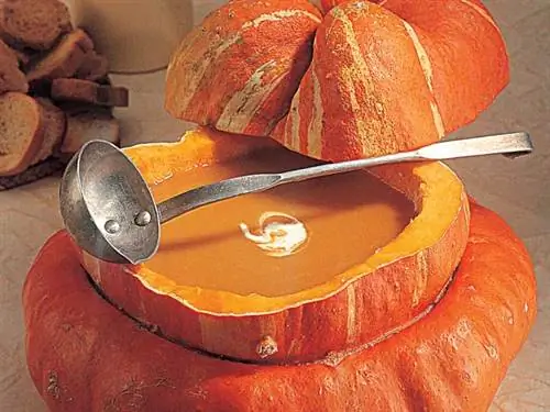 Как приготовить тыквенно-крем-суп