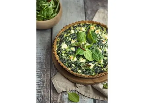 Рецепт органического пирога с киноа, фетой и шпинатом