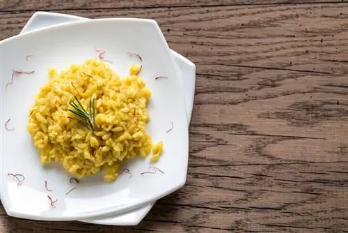 Мировая кухня: миланское ризотто