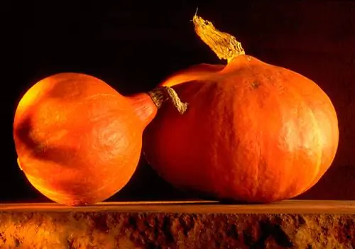 Суп из тыквы и эмменталя