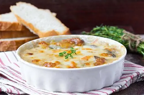 Готовим грибы: гратен из картофеля и белых грибов
