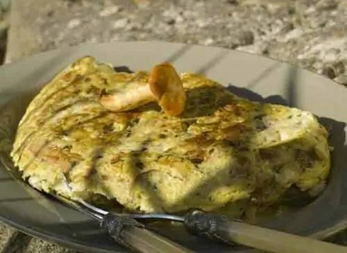 Грибной омлет