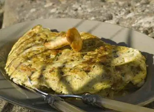 Омлет с белыми грибами и подосиновиками, чесночными гренками и шнитт-луком