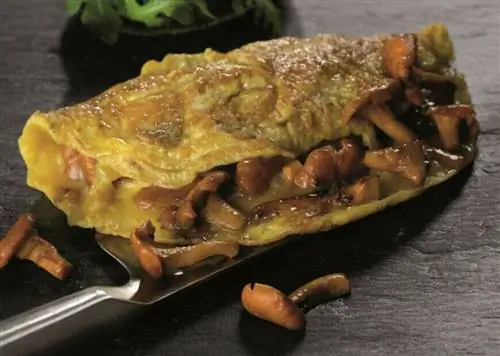 Омлет с лисичками