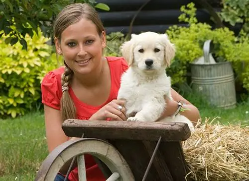 Какую собаку взять в семью с детьми?