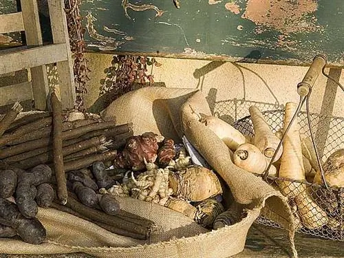 Забытые овощи: 5 изысканных рецептов