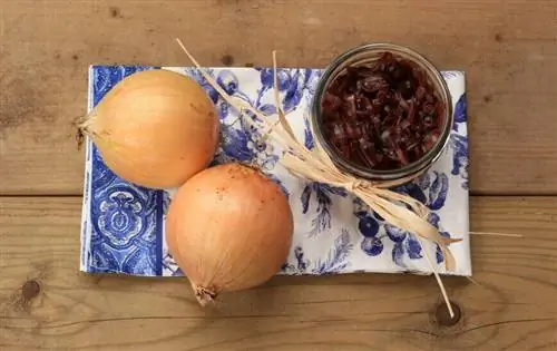 луковое конфи и сырой лук