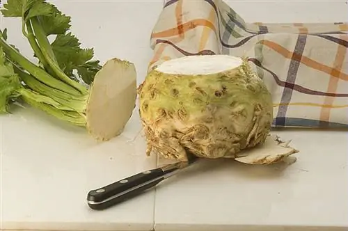 Фаршированный сельдерей
