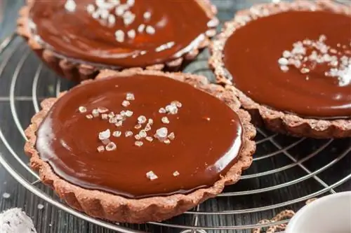 Шоколадная тарталетка с флер де сель