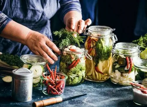 Консервирование и ферментация продуктов