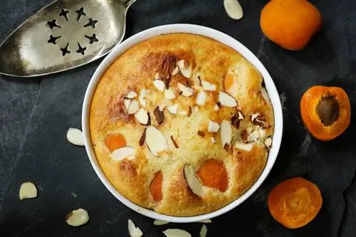 Рецепт клафути с абрикосами и миндалем