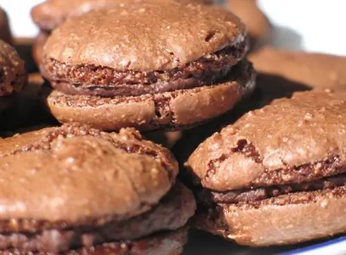 Шоколадное миндальное печенье