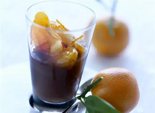 Шоколадный крем и полузасахаренные корсиканские клементины - Фото: Жан-Клод АМИЕЛЬ - Стиль: Мари ЛЕТЕР - Clémentine de Corse IGP