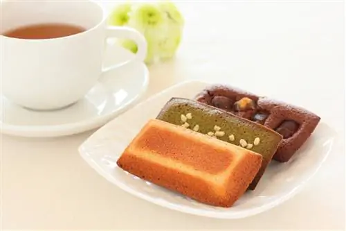 Пушистые финансисты