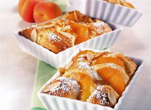 Рецепт запеканки с абрикосами и миндалем