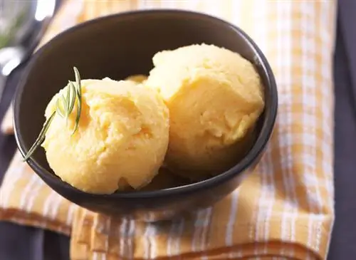 Как приготовить мороженое с дыней и розмарином