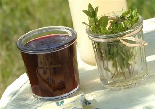 желе из крыжовника с мятой