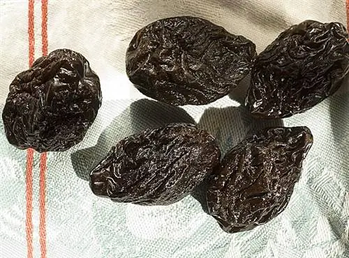 Клафути с аженским черносливом