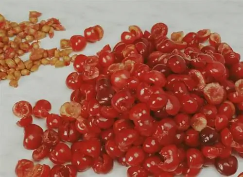 Клафути с вишней, кокосовым молоком и цедрой лайма