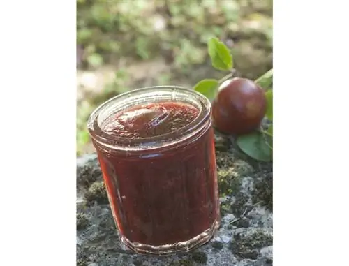 Рецепт варенья из чернослива с грецкими орехами