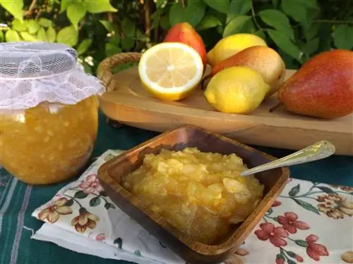Рецепт варенья из лимона и груш