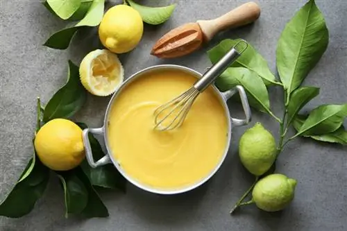 лимонный курд и свежий лимон лимонный курд и свежий лимон