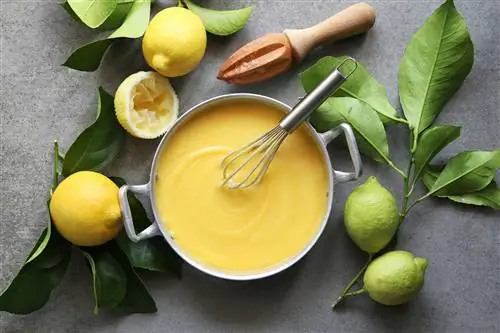 Рецепт английского варенья: лимонный курд