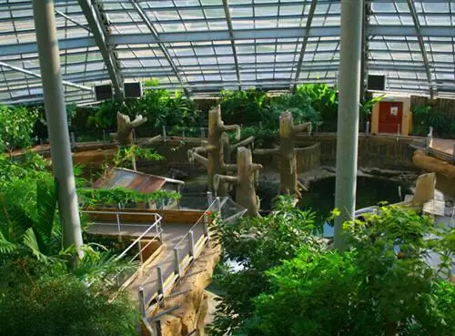 Обзор оранжереи «Планета Крокодилов»
