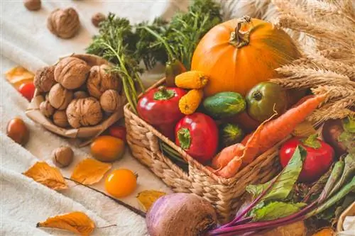 Фрукты и овощи, которые можно есть осенью, чтобы быть экологически ответственными