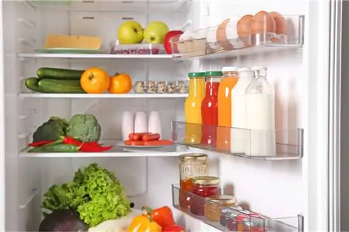 Какие продукты можно есть после истечения срока годности?