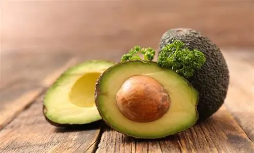 Советы по обеспечению вкуса авокадо