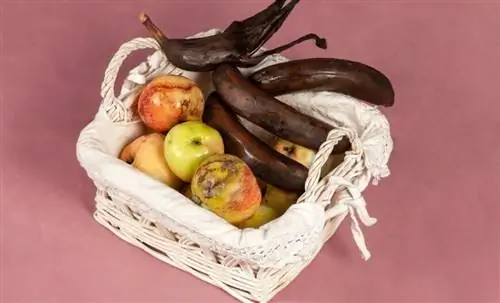 Просроченные продукты, которые нельзя употреблять ни при каких обстоятельствах.