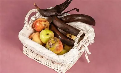 7 продуктов, которые точно нельзя есть с истекшим сроком годности