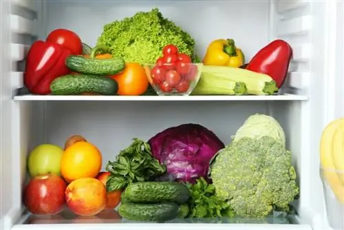 Как хранить продукты в контейнере для фруктов и овощей?