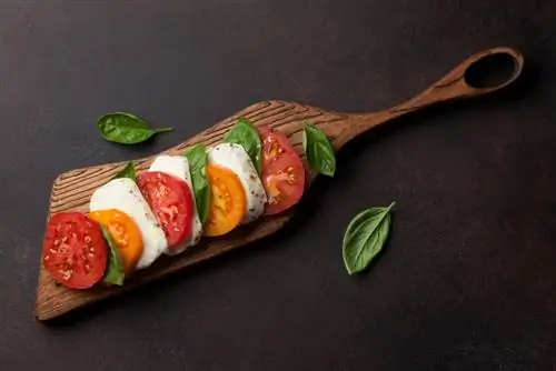 Итальянская кухня: выбираем и готовим моцареллу