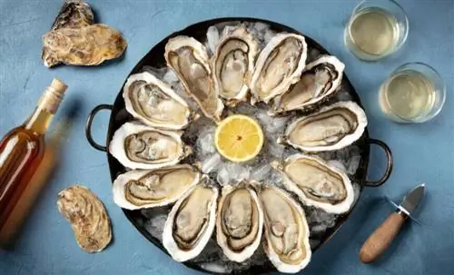 Почему морепродукты могут быть токсичными