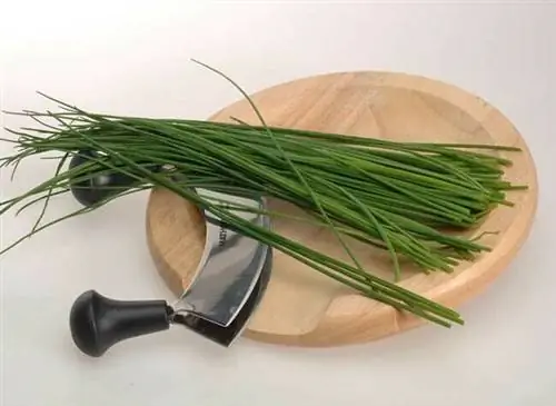 Зеленый лук, мясорубка, зеленый лук овощной Зеленый лук, мясорубка, зеленый лук овощной