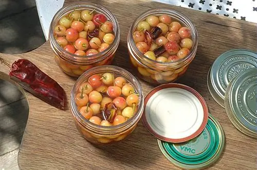 Хорошие способы сохранения фруктов