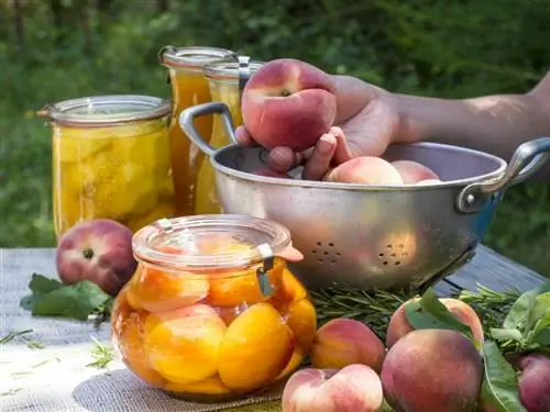 персики, консервированные фрукты