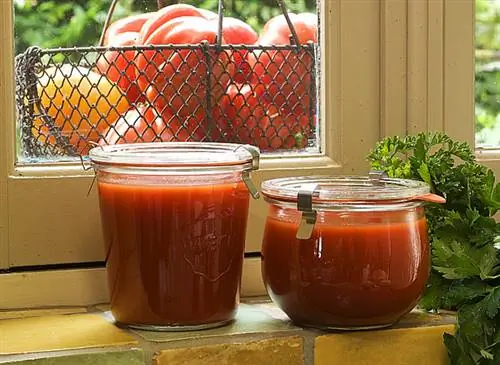 Консервированный томатный соус с небольшими овощами