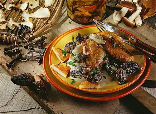 Консервированные грибы и курица со сморчками